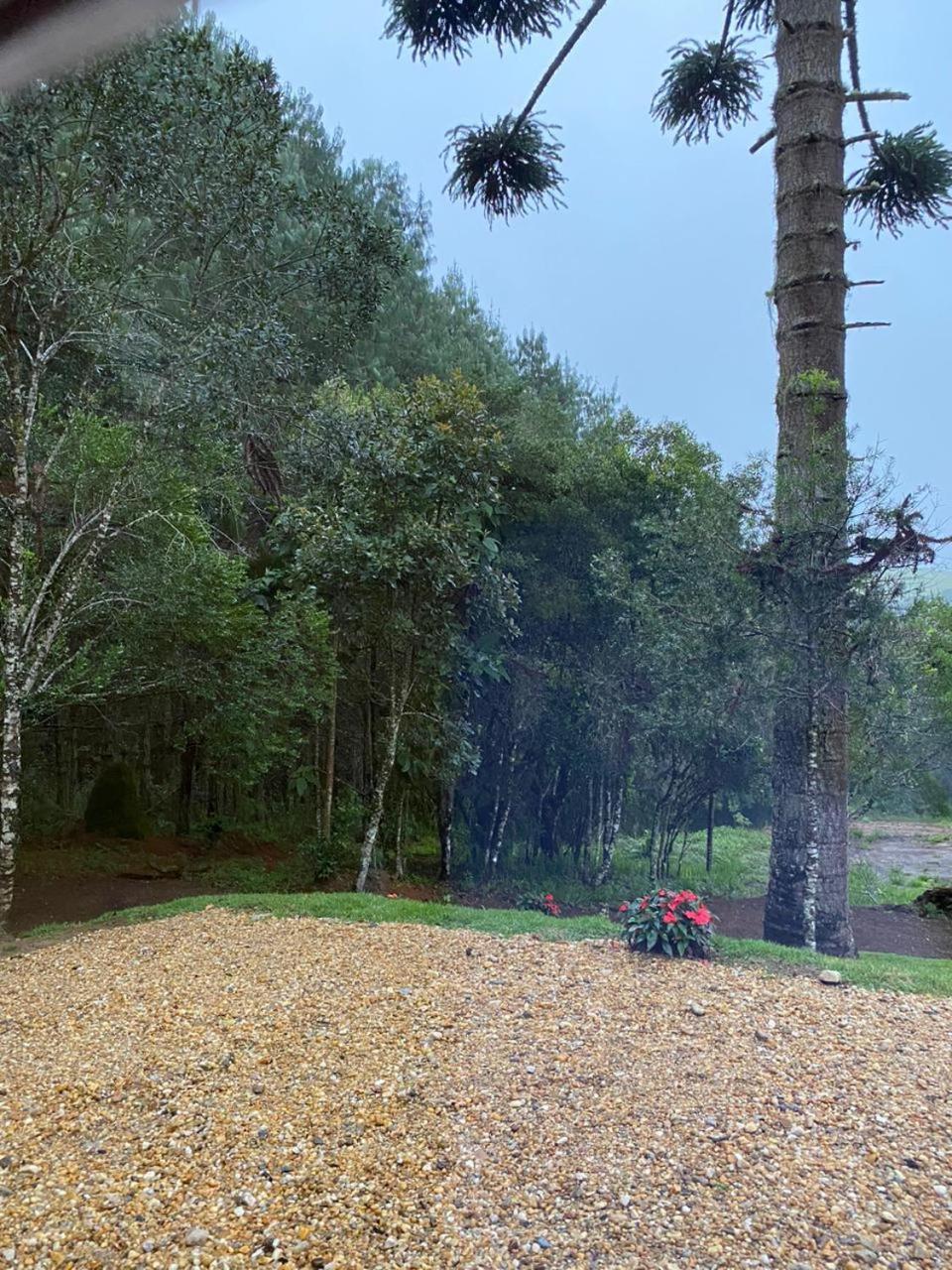 Chales Canto Da Serra Monte Verde  Eksteriør billede