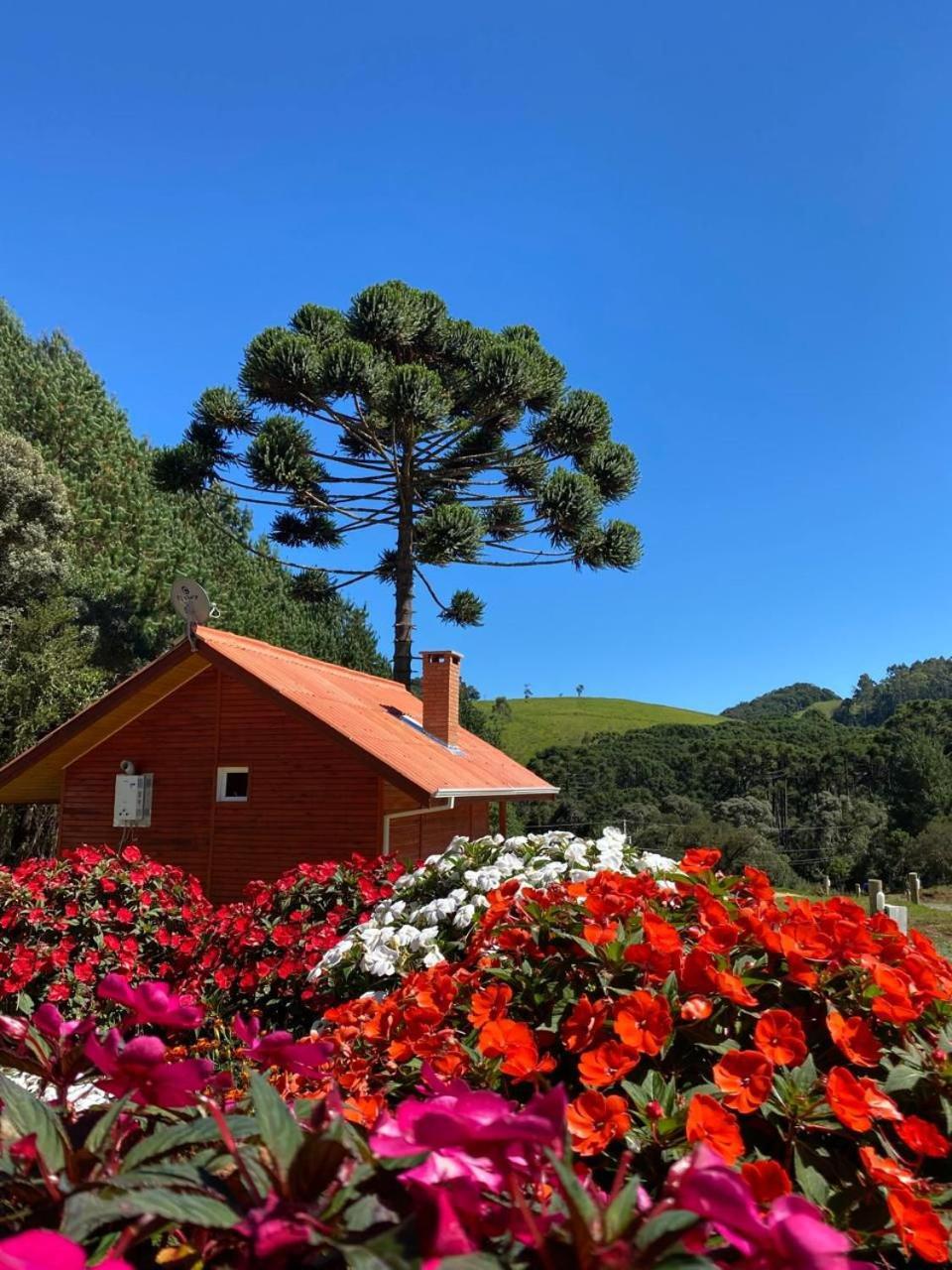 Chales Canto Da Serra Monte Verde  Eksteriør billede